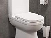 Best Close Coupled Toilet