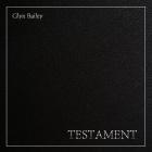 Glyn Bailey: Testament