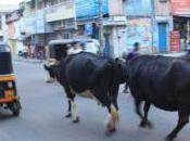 POEM: Chennagiri, Silly Line Thought