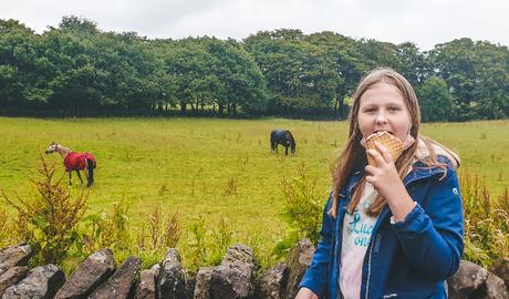 Project 366 Week 27 – Another Week Down Project 366 Week 27 – Another Week Down