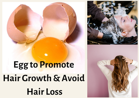 How to use Eggs to Promote Hair Growth and Avoid Hair Loss