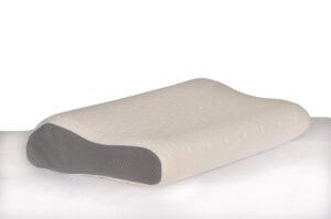  Best Wedge Pillow India 2020