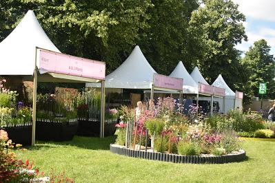 The one where I am not at RHS Hampton Court Garden Festival