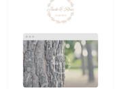 WordPress Wedding Themes 2020