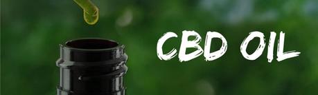 CBD Oil Popularity : Why CBD Is Growing  Rapidly In Popularity  