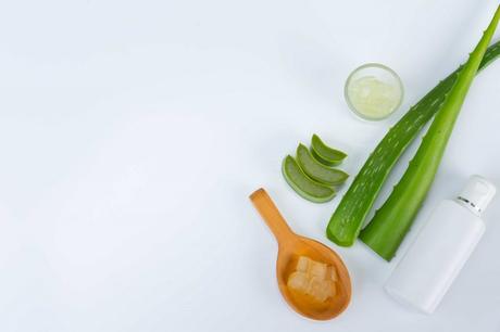 How to Make Hand Sanitizers with Fresh Aloe Plant