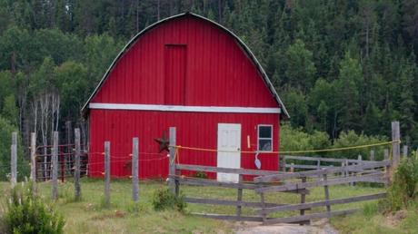 Top Unique Types of Garden Sheds You Can Put in Your Backyard Top Unique Types of Garden Sheds You Can Put in Your Backyard
