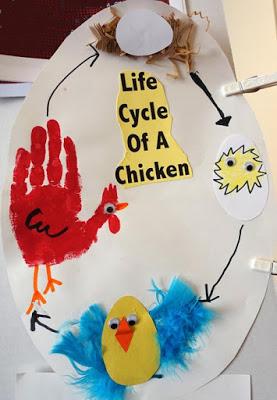 STEAM Activity: Which came first, the chicken or the egg?
