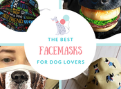 Ottawa Mandatory Facemask Bylaw: Best Facemasks Lovers Etsy