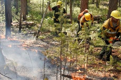 fires-continue-in-siberia-with-record-temperatures