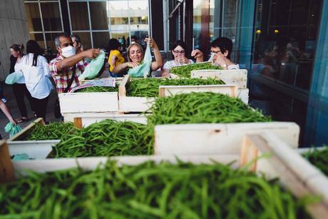 Green wave in France? Not so sure…