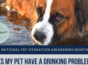 Hydration Awareness Month: Does Have Drinking Problem?