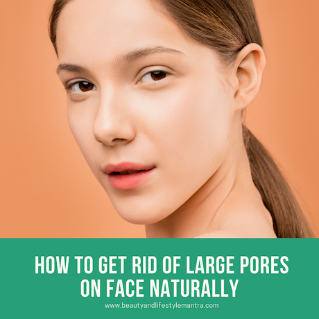 How To Get Rid Of Large Pores On Face, Nose, Cheeks Naturally