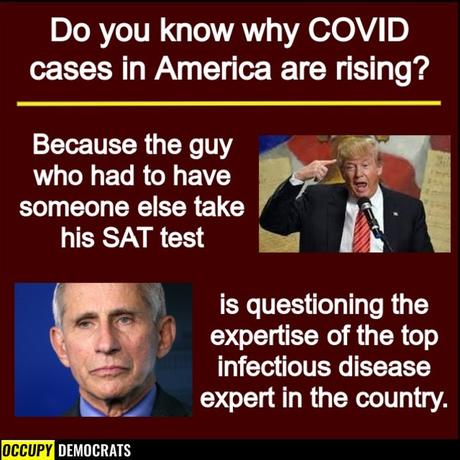 Image may contain: 2 people, text that says 'Do you know why COVID cases in America are rising? Because the guy who had to have someone else take his SAT test is questioning the expertise of the top infectious disease expert in the country. OCCUPY EMOCRATS'