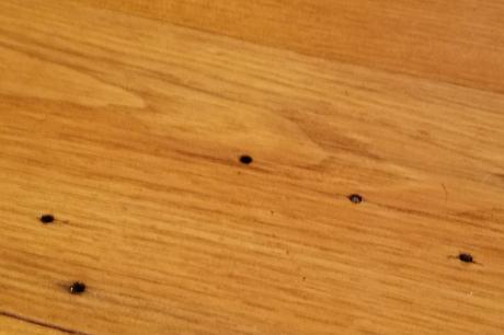 Picture wood floor damaged by powderpost beetle