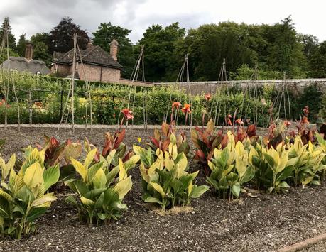 Wonderful West Dean Gardens, West Sussex