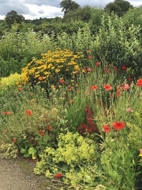 Wonderful West Dean Gardens, West Sussex