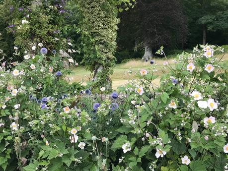 Wonderful West Dean Gardens, West Sussex