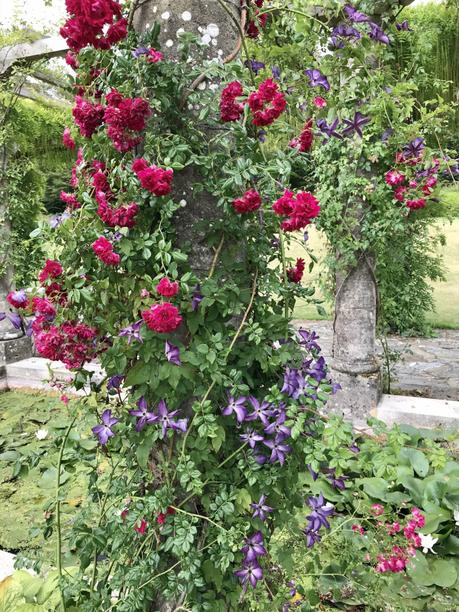 Wonderful West Dean Gardens, West Sussex