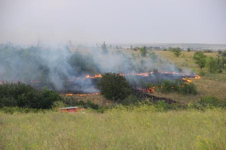 forest-fires-in-siberia:-russian-cities-smother-under-the-smoke