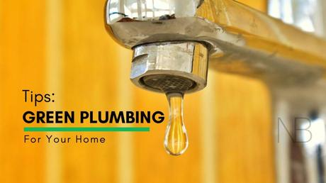 8 Green Plumbing Tips for Your Home