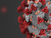 Bits News This Pandemic Locally Today