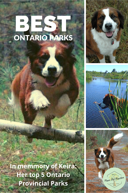 Top Five Friday: My five favourite Ontario Parks I visited with Keira #FridayFive