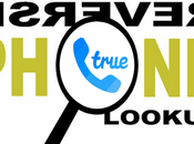 Best Free Reverse Phone Lookup Services