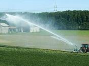 Types, Methods Importance Irrigation (Watering Crops)