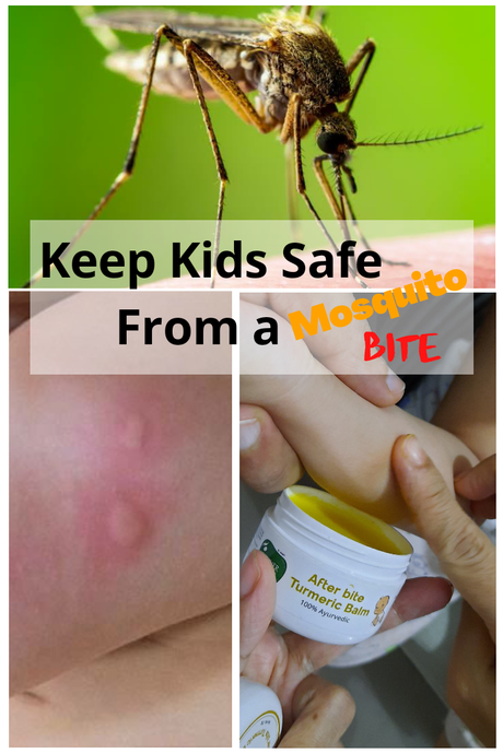 7 Most Effective Ways to Keep Kids Safe From a Mosquito Bite