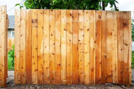 Protecting Our Fence With Clear Waterproof Sealant