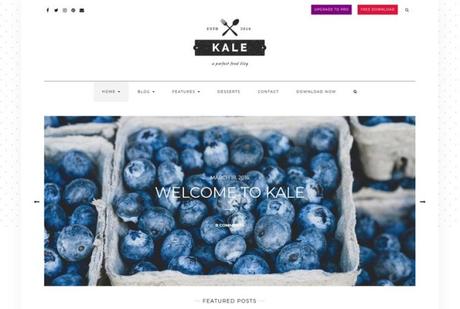 Top Most Popular Best WordPress Themes of 2020