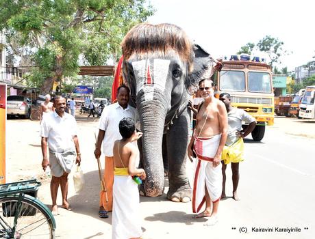 Sengamalam Cutie Raja Mannargudi