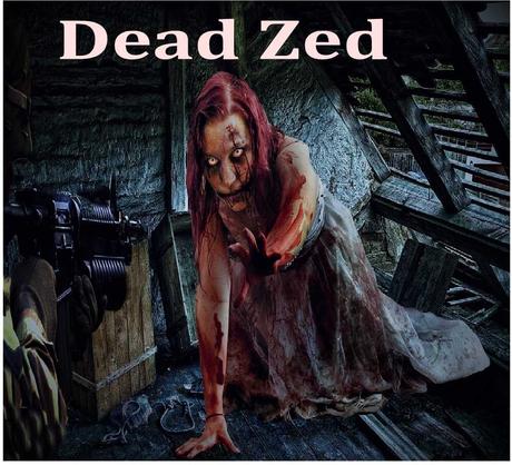 Amazing popular Flash Game Series – Dead Zed 3