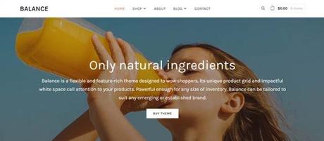 Best Responsive WordPress Themes to Create a Mobile-Ready Site