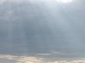 POEM: Nature’s Spotlight Haibun]