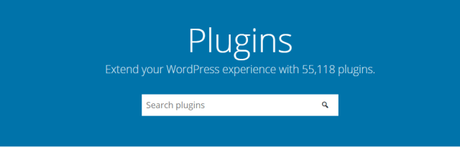 Squarespace vs WordPress – 100 % Everything you need to know