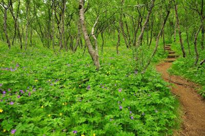 HIKING IN THÓRSMÖRK, ICELAND: WHY AND HOW, Guest post by Caroline Hatton