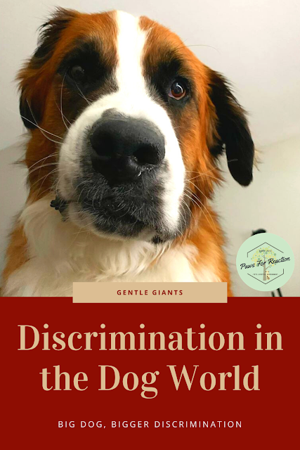 Big dog, bigger discrimination: Large dogs are commonly discriminated against for no good reason