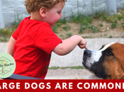 Dog, Bigger Discrimination: Large Dogs Commonly Discriminated Against