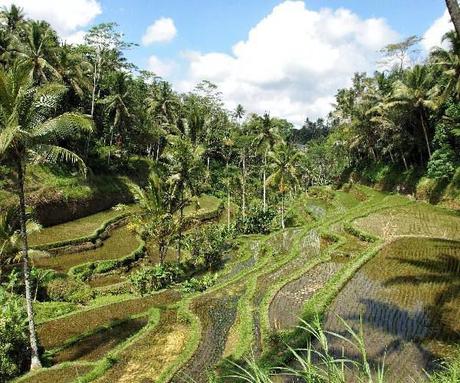 21 things to do in Indonesia