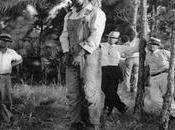 Star Already White People Flipping