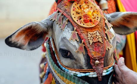 Kundri Mela, A Display Of Jharkhand’s Vibrant Culture And Traditions