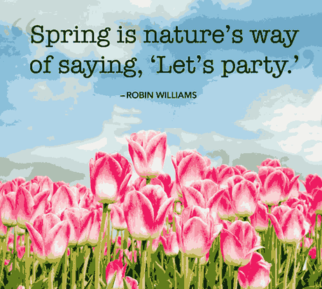 200 Amazing Spring Captions for Spring Time