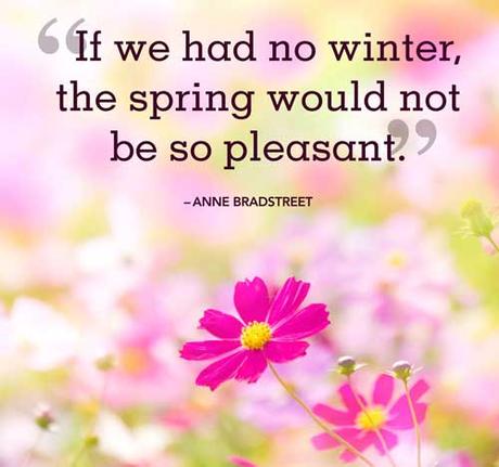 200 Amazing Spring Captions for Spring Time