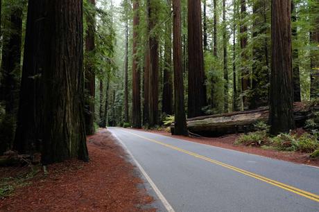 25 Most Beautiful National Parks in America