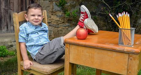 Image: Young boy at school desk, by Francine Sreca on Pixabay