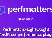 Perfmatters-Lightweight WordPress Performance Plugin