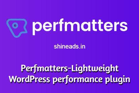 Perfmatters-Lightweight WordPress performance plugin