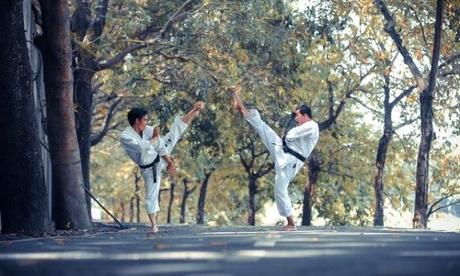 How Do Martial Arts Aid Your Health? How Do Martial Arts Aid Your Health?